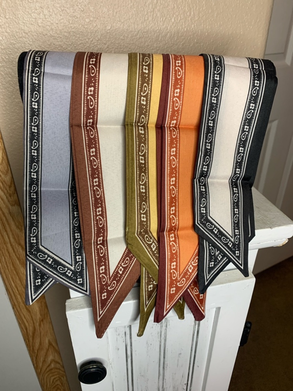 PAISLEY BORDER Print Skinny Scarf Set Accessory Black, Brown, Tan, Rust, Gray